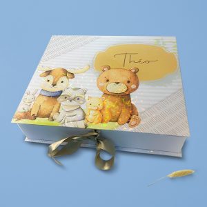 Caixa Infantil Menino | Bosque